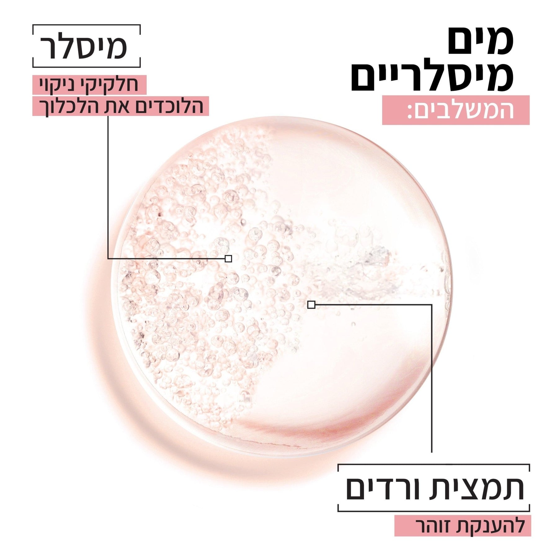 Garnier - מים מיסלרים עם מי ורדים 400 מ"ל - MASHBIR//365