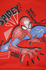 DELTA - סט פיג’מה פוטר SPIDERMAN - MASHBIR//365