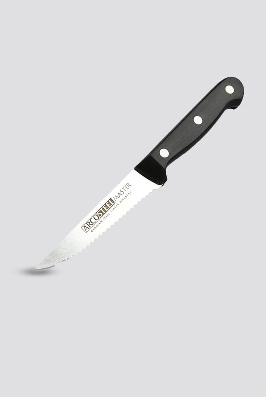 ARCOSTEEL - סכין סטייק 10 ס"מ מסדרת Master Arcosteel - MASHBIR//365