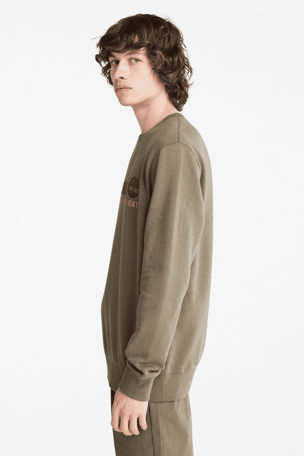 TIMBERLAND - סווטשירט CREW בצבע ירוק זית - MASHBIR//365