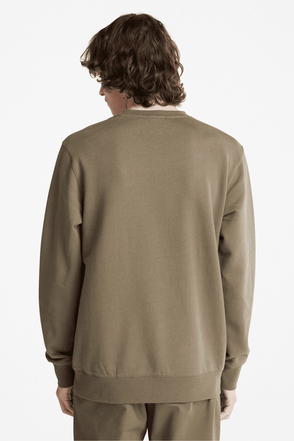 TIMBERLAND - סווטשירט CREW בצבע ירוק זית - MASHBIR//365