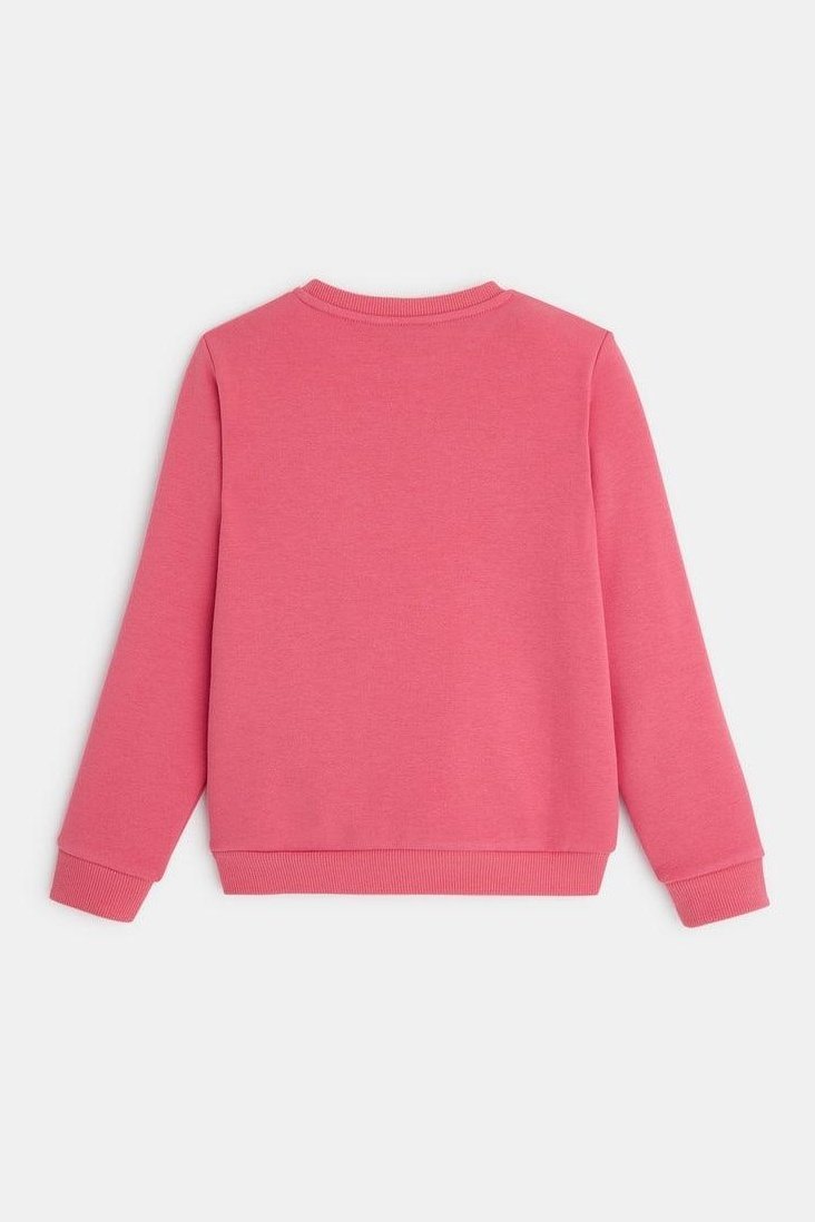 OKAIDI - סווטשירט ציפור רקומה בצבע ורוד - MASHBIR//365