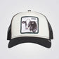 GOORIN - כובע מצחייה THE CASH COW בצבע לבן - MASHBIR//365 - 1