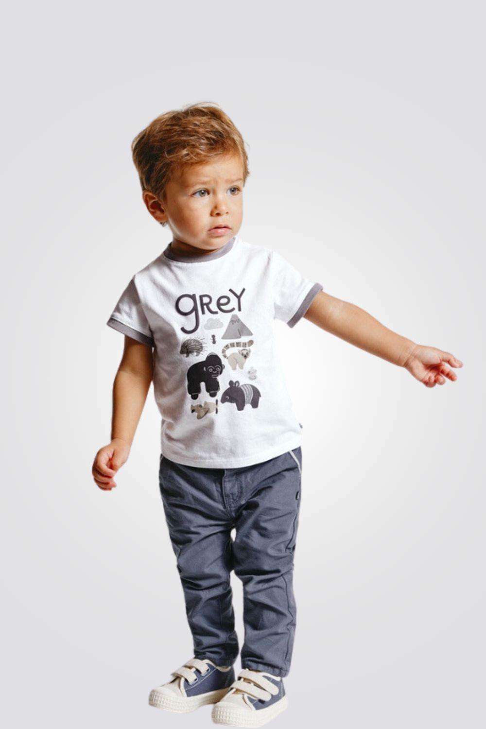 OBAIBI - חולצת טריקו בעלי חיים אפורה לתינוקות בנים - MASHBIR//365